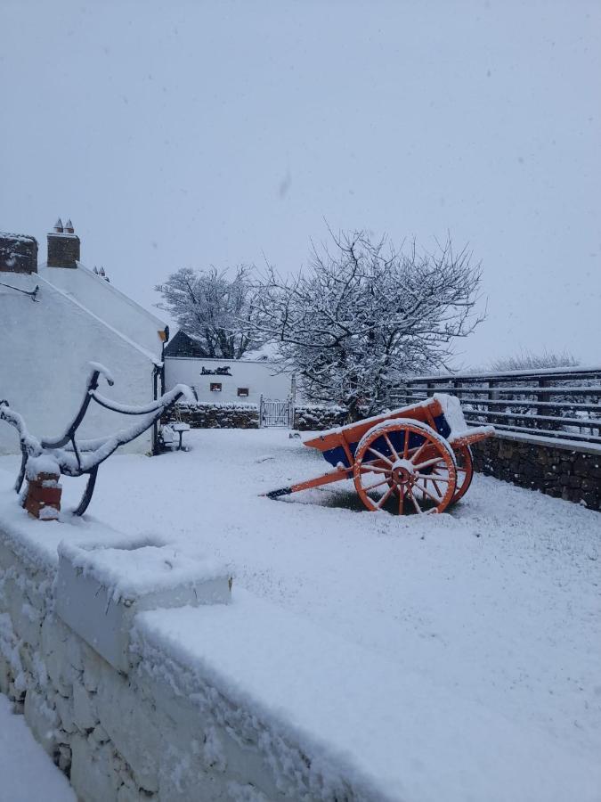 Nellie'S Farmhouse Carlingford Zewnętrze zdjęcie